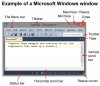 window.jpg