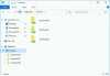 redirected_drives.png
