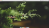 Elementary OS.png