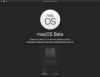 ERRORE macOS Beta.png