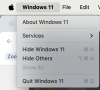 Screenshot 2024-06-19 at 11.15.44 AM.png