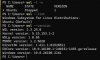 WSL Version.png WSL Version.png