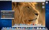 lion-big.jpg